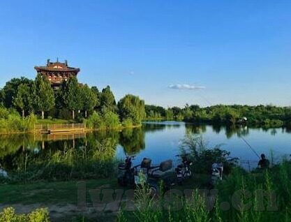 91大神制片麻豆-91大神制片，麻豆背后的故事与漩涡