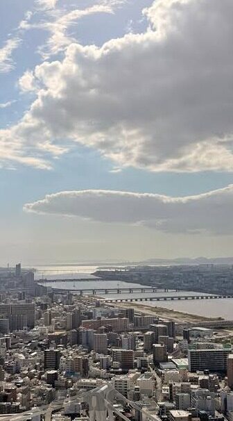 91麻豆大神在线播放-麻豆大神，透过光影的鲜活触摸