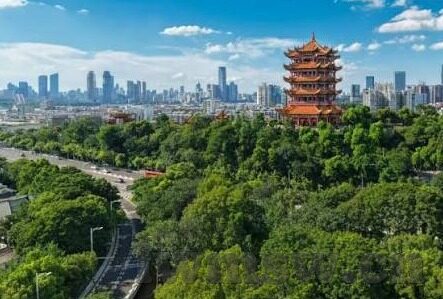 大象传媒app下载最新版-探索大象传媒APP，最新版下载指南与功能体验