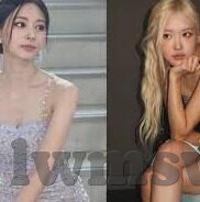 大象传媒在线视频播放-大象传媒，在线视频播放的革新力量