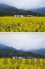 国际麻豆文化传媒一区-国际视野下麻豆文化的传播与影响，一区视角的解析