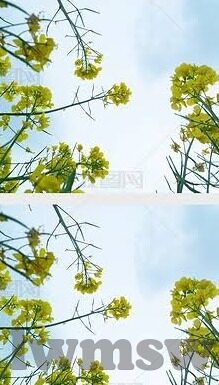 麻豆视频无限次数-解锁娱乐新视界，关于麻豆视频无限次数的可能性